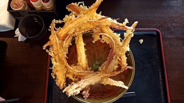 大地のうどんのごぼう天うどん