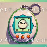 たまごっち放置のリスクを回避!上手に育てるための完全ガイド